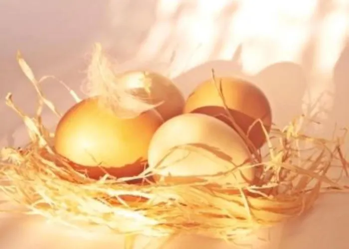 豪斯舍特恩酒店